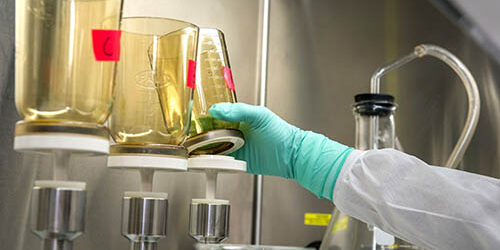 cdc-wCo9UwZEa18-unsplash